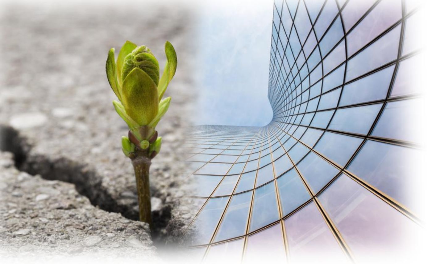 Enabling Sustainability Transitions
